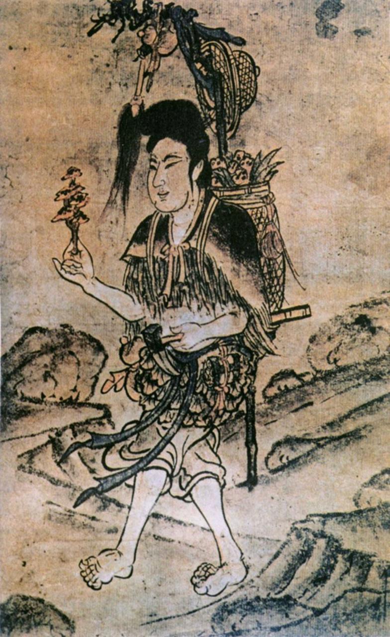 Reishi: Del Antiguo Imperio Chino a la Biotecnología Moderna