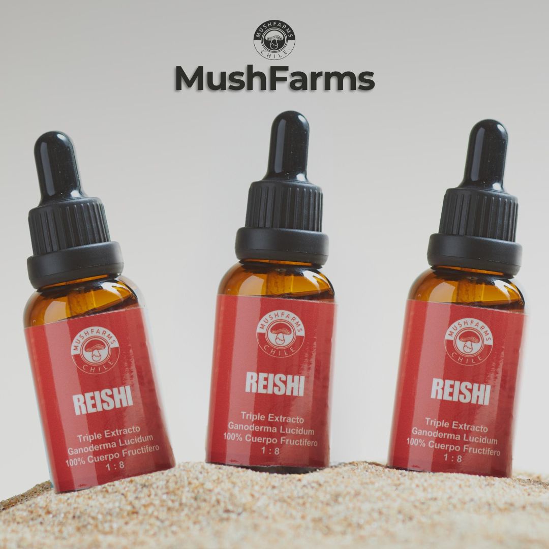 Triple Pack de Triple Extracto Reishi